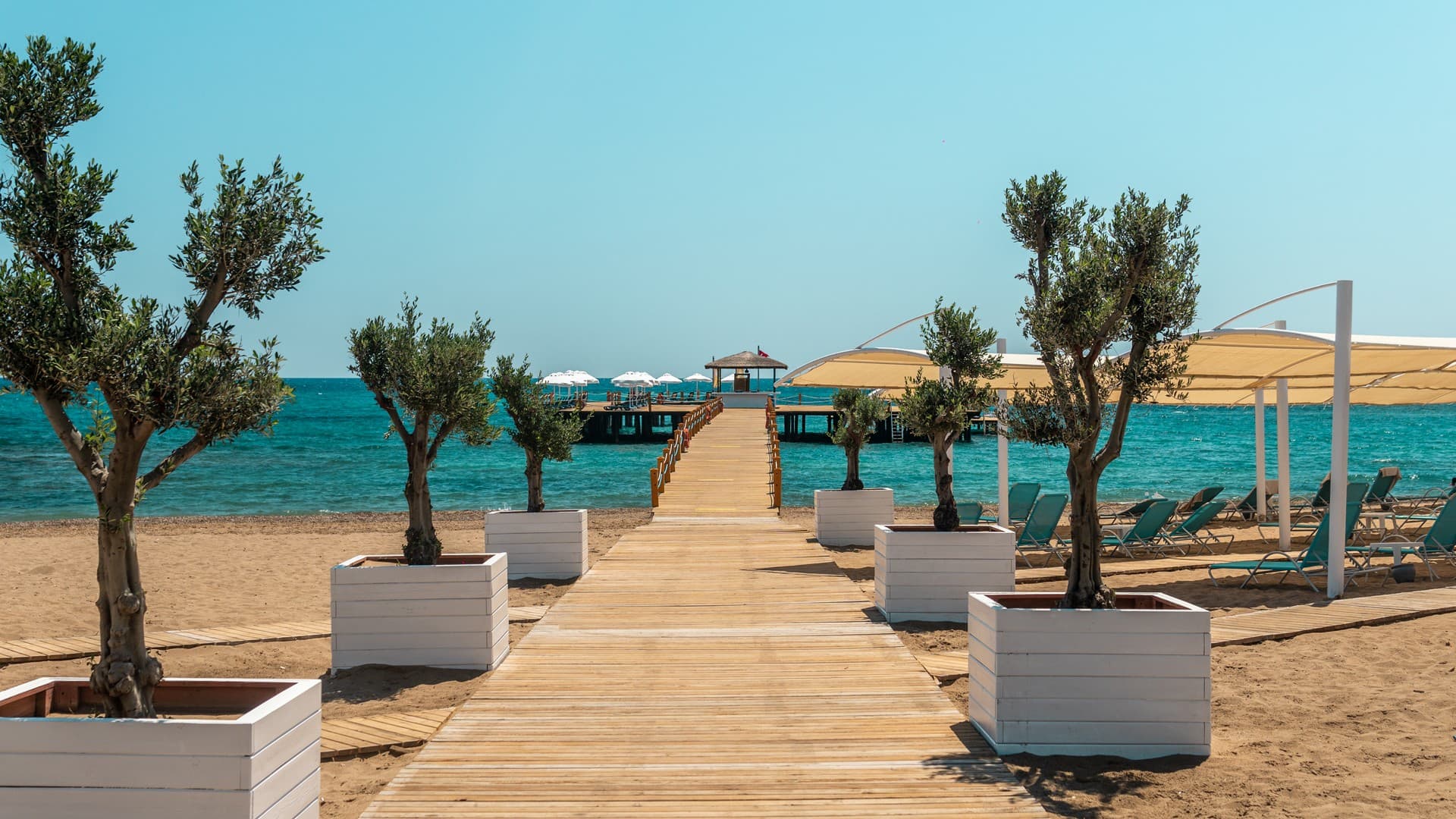 Beach – photo 3