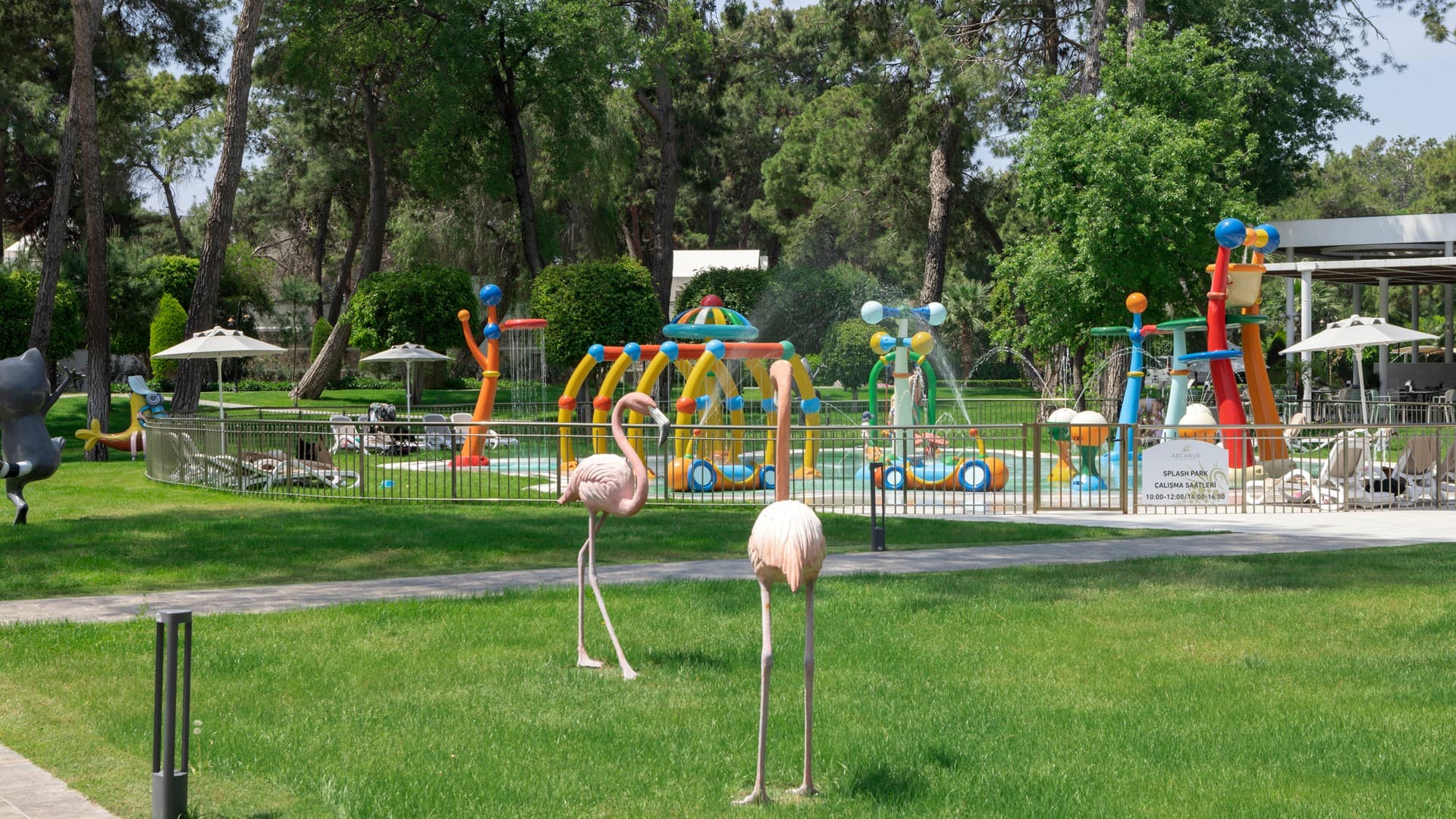 Pools & Aquapark – photo 6